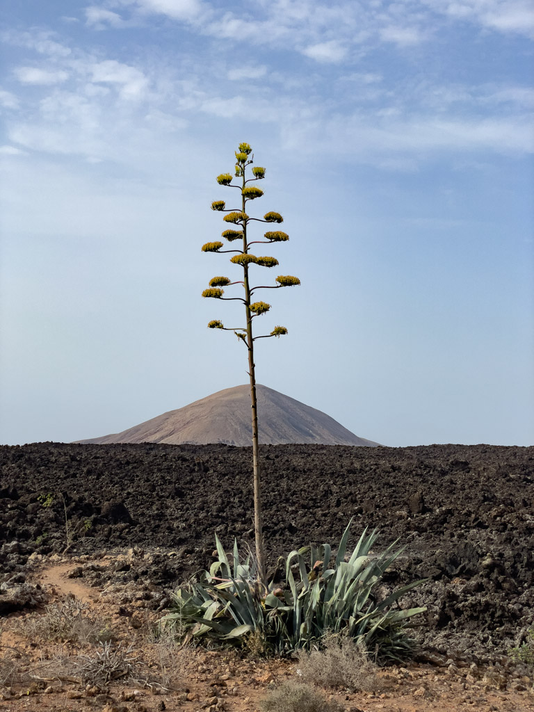 20220710-sOrOli-Web2048-IMG_5462.jpg 20220710-sOrOli-Web2048-IMG_5462.jpg