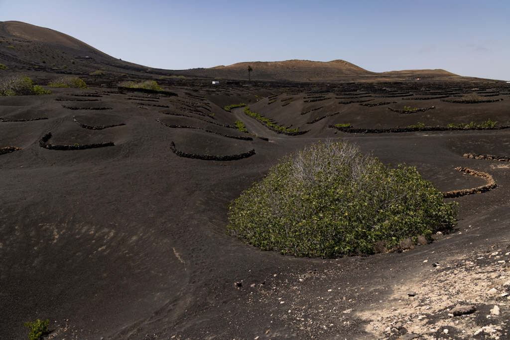 20220713-sOrOli-Web2048-R5OS8467.jpg 20220713-sOrOli-Web2048-R5OS8467.jpg