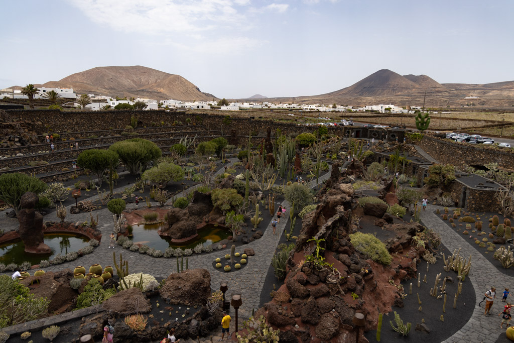 20220718-sOrOli-Web2048-R5OS0754.jpg 20220718-sOrOli-Web2048-R5OS0754.jpg