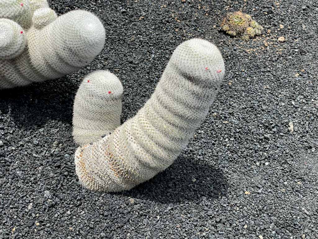 20220718-sOrOli-Web2048-IMG_5968.jpg 20220718-sOrOli-Web2048-IMG_5968.jpg