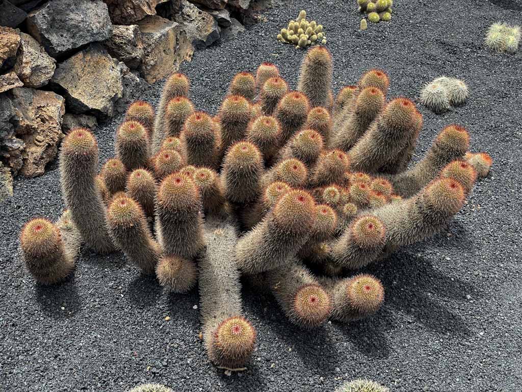 20220718-sOrOli-Web2048-IMG_5969.jpg 20220718-sOrOli-Web2048-IMG_5969.jpg