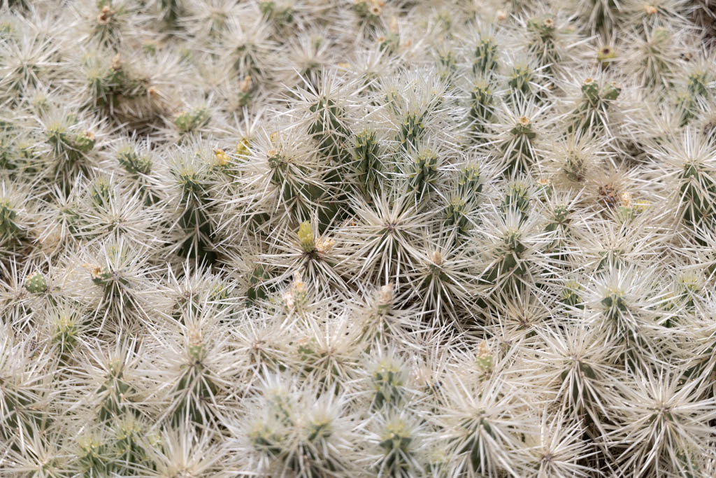 20220718-sOrOli-Web2048-R5OS0730.jpg 20220718-sOrOli-Web2048-R5OS0730.jpg