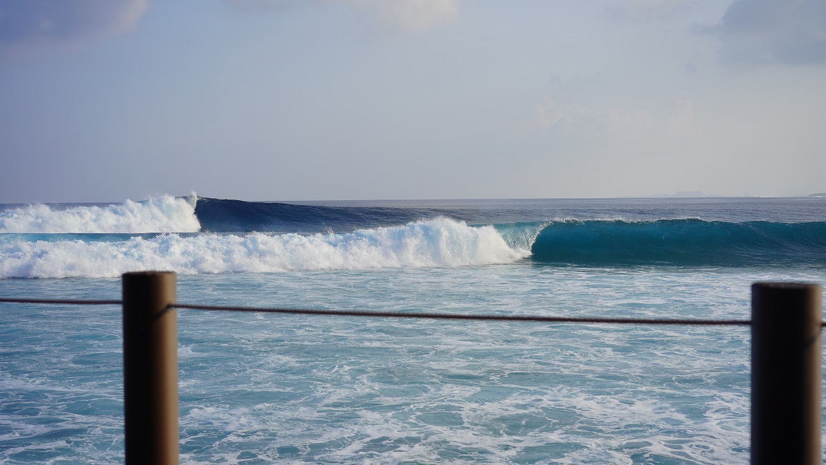 DSC09579.JPG DSC09579.JPG