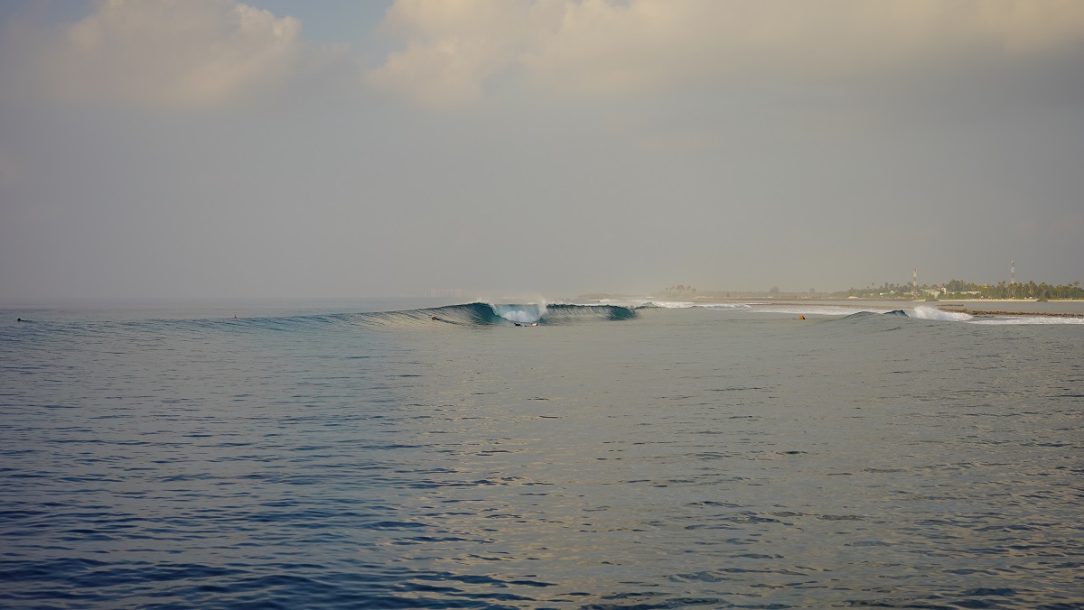 Ninja pas moche / DSC09598.JPG DSC09598.JPG