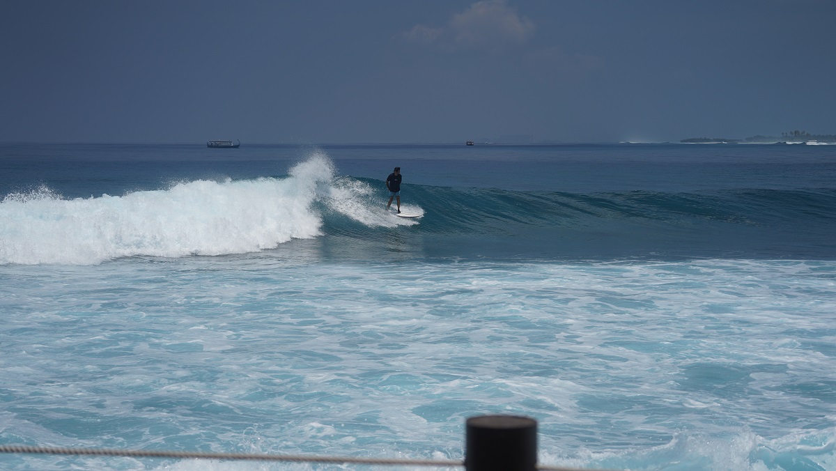 DSC00114.JPG DSC00114.JPG