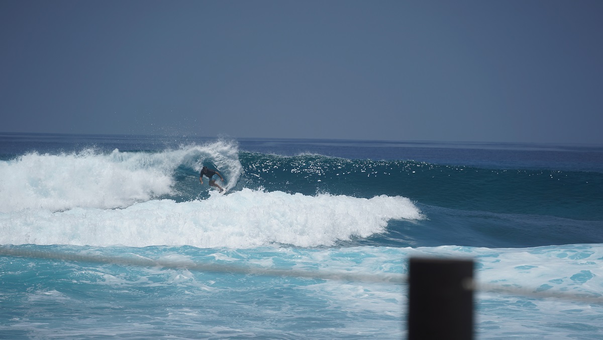 DSC00133.JPG DSC00133.JPG