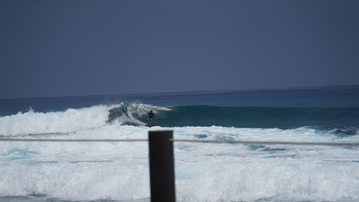 DSC00180.JPG DSC00180.JPG