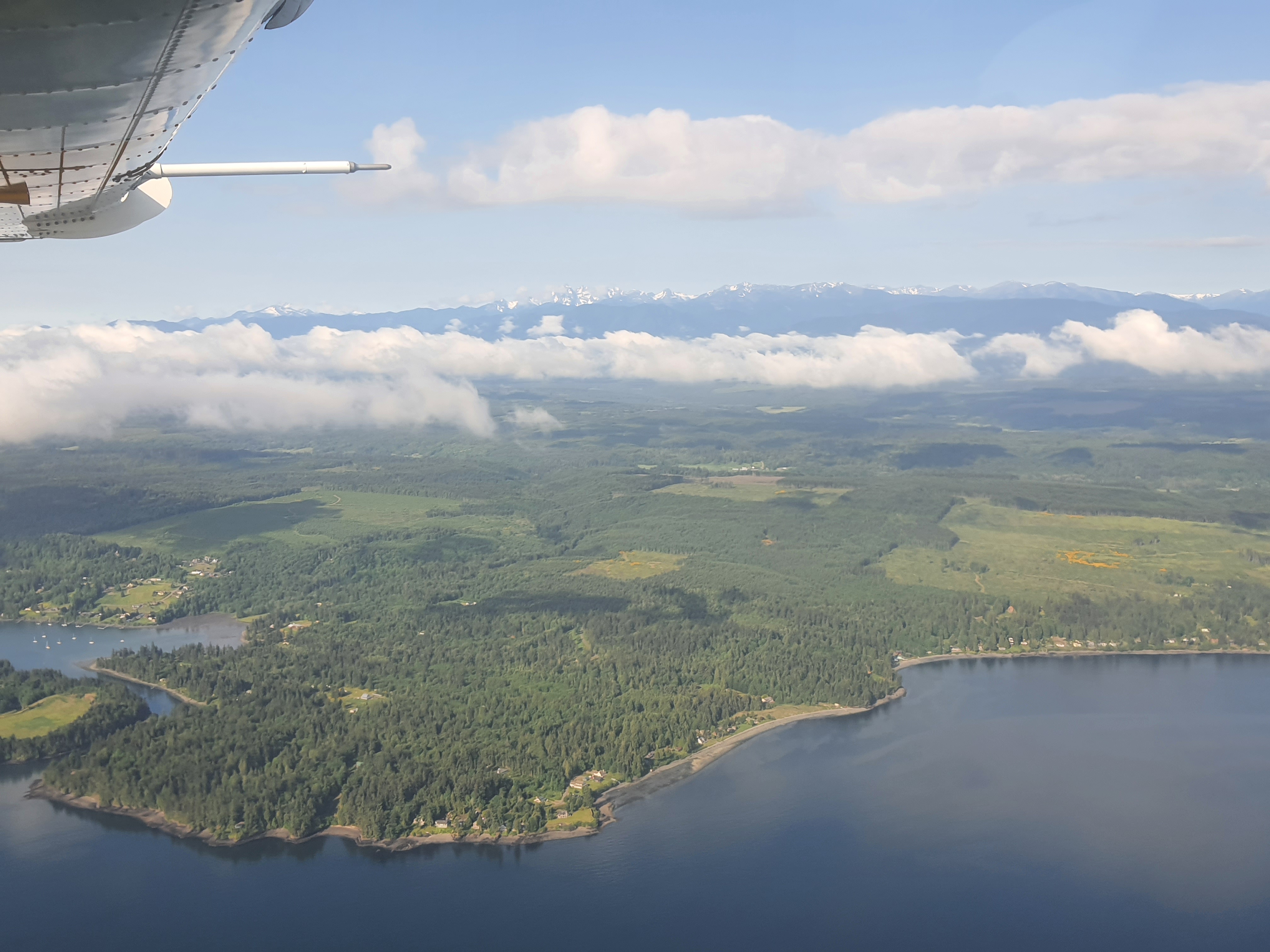 20230601_083822.jpg 20230601_083822.jpg