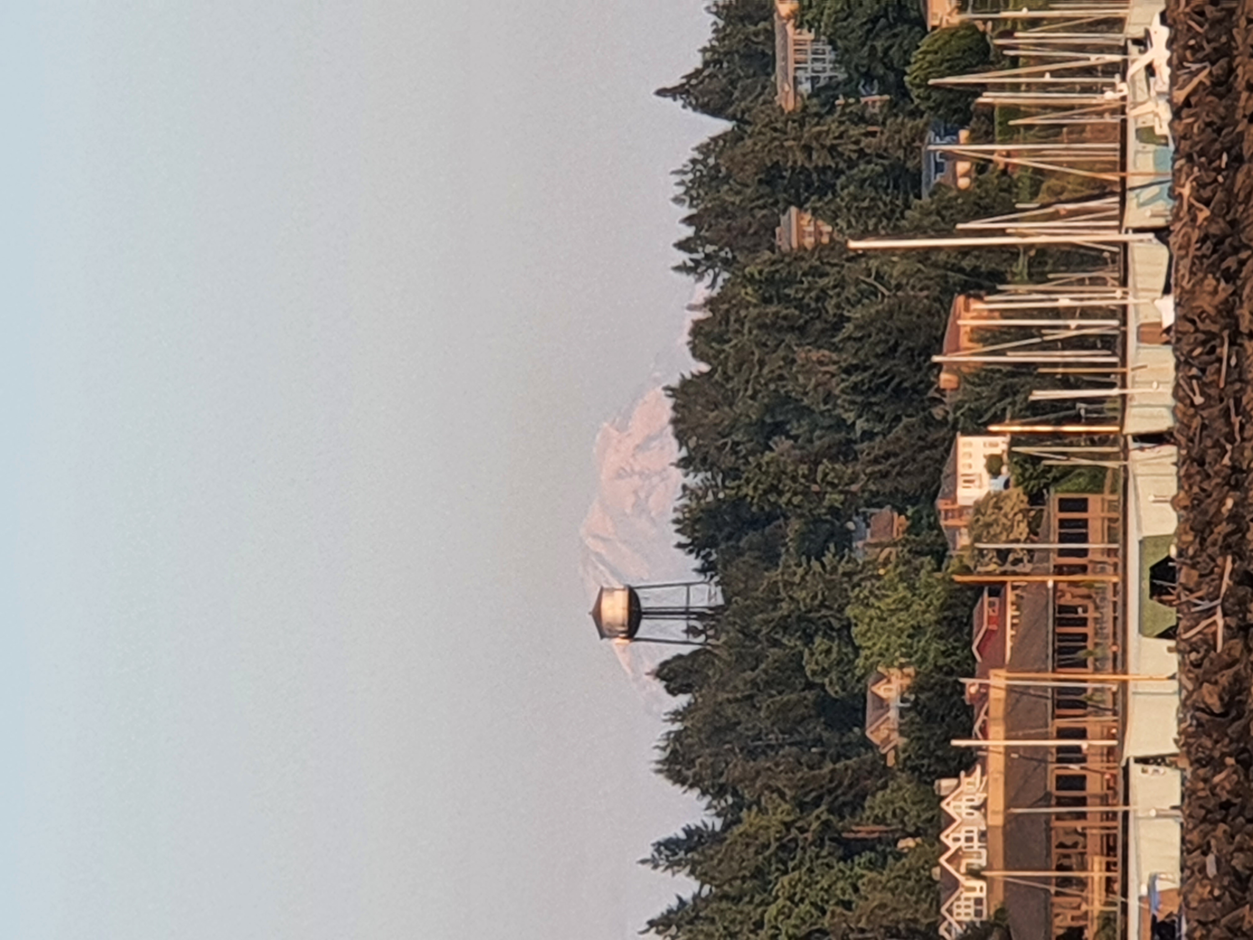 20230601_203510.jpg 20230601_203510.jpg