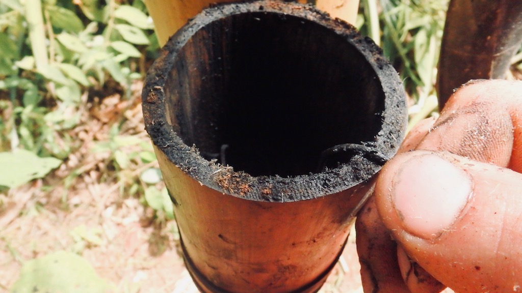 Cordeau en trempage / 20.1 Cordeau.jpg 20.1 Cordeau.jpg