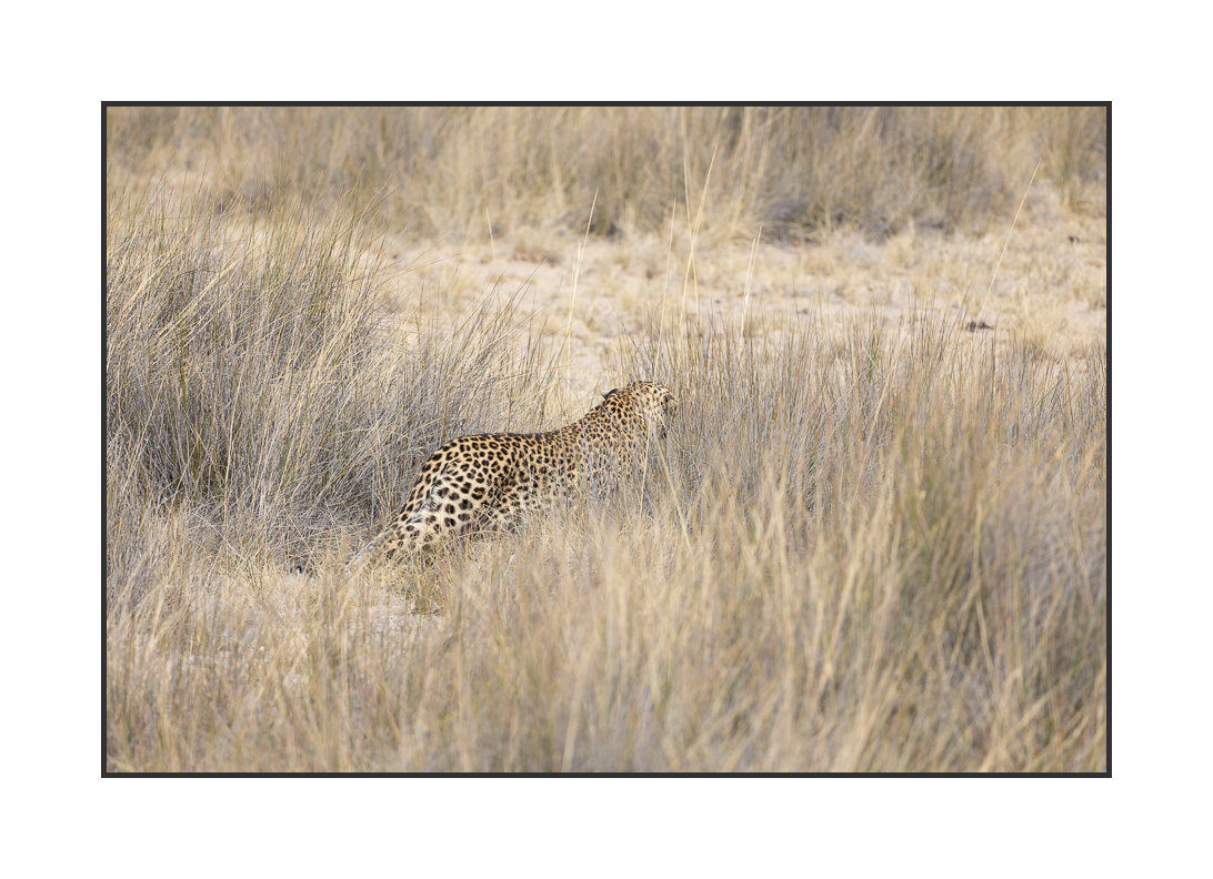 20230810-R5OS4754.jpg 20230810-R5OS4754.jpg