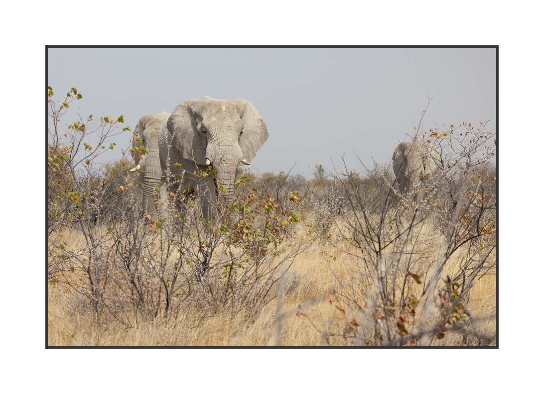 20230810-R5OS4787.jpg 20230810-R5OS4787.jpg