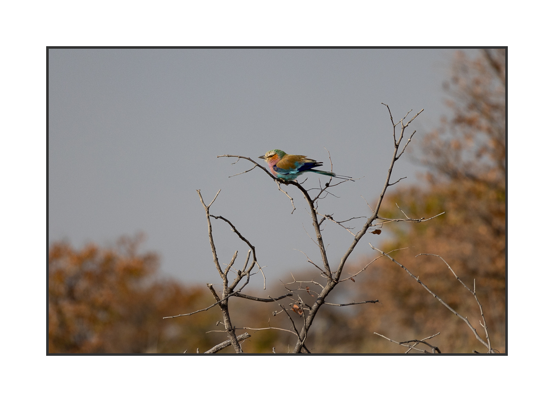 20230810-R5OS4687.jpg 20230810-R5OS4687.jpg