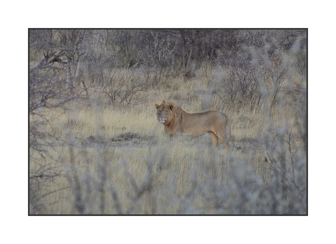 20230809-R5OS4556.jpg 20230809-R5OS4556.jpg