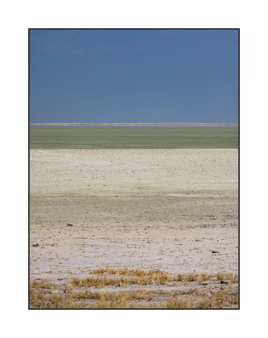 20230809-R5OS4416.jpg 20230809-R5OS4416.jpg