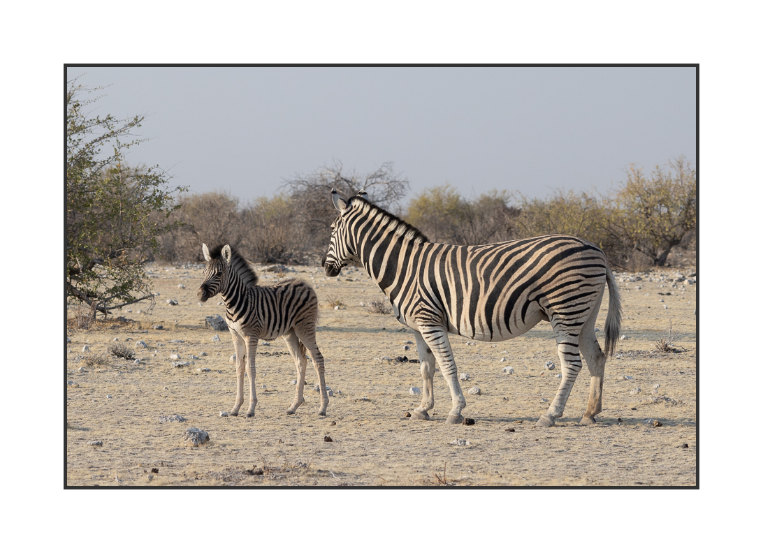 20230810-R5OS4808.jpg 20230810-R5OS4808.jpg