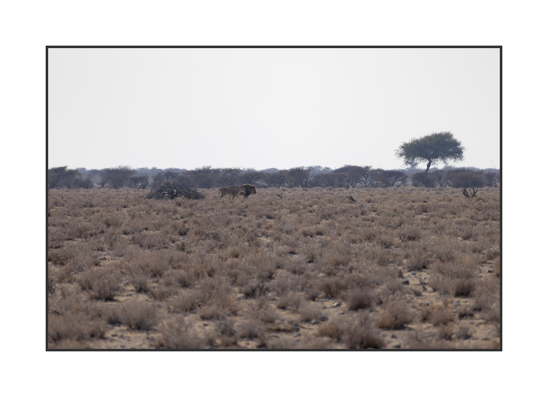 20230811-R5OS4933.jpg 20230811-R5OS4933.jpg