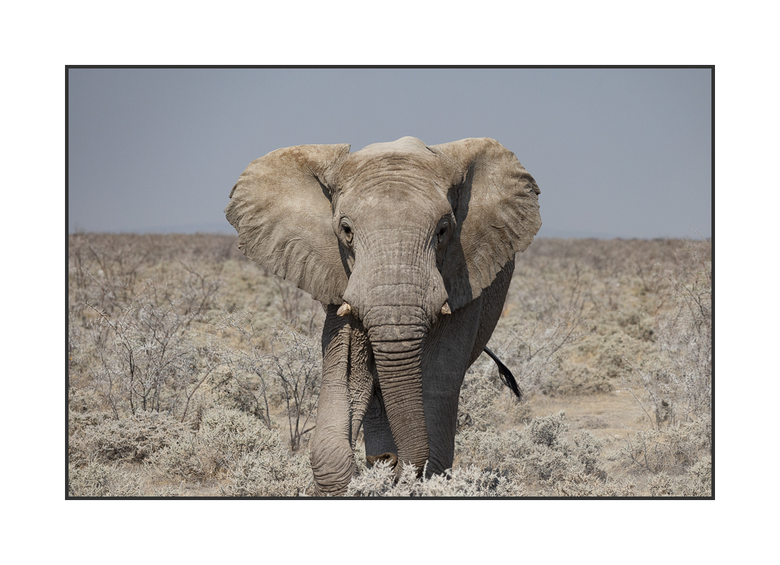 20230811-R5OS4980.jpg 20230811-R5OS4980.jpg