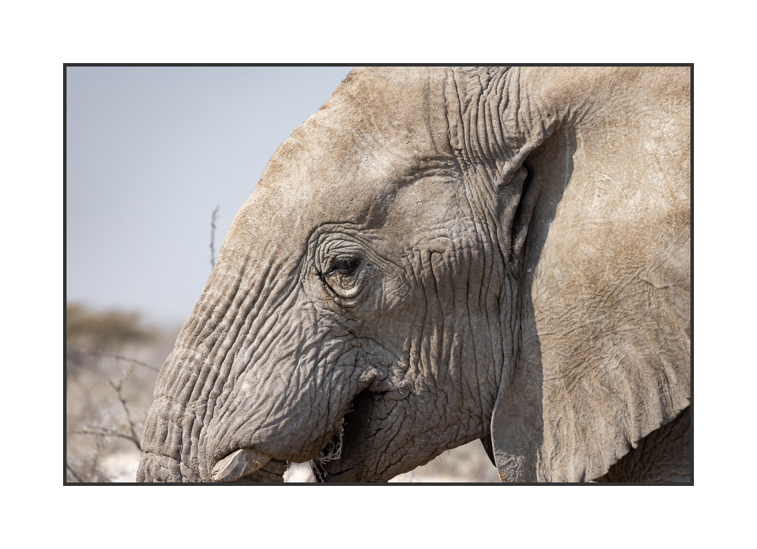 20230811-R5OS4987.jpg 20230811-R5OS4987.jpg