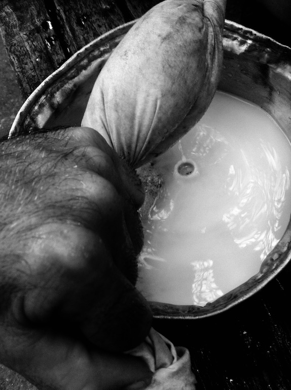 Filtre / 49 Caséine Filtre.jpg 49 Caséine Filtre.jpg