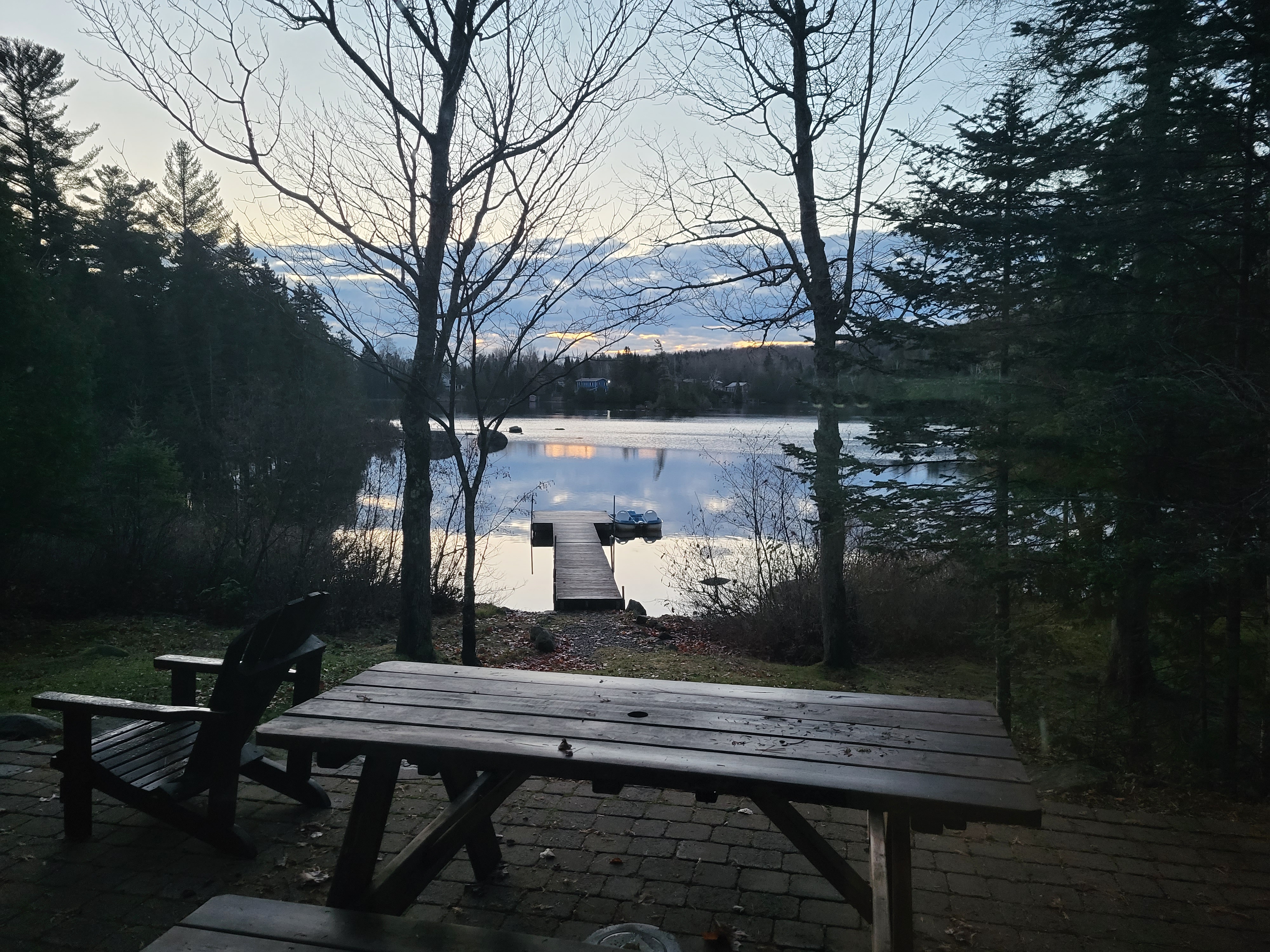 20231104_072337.jpg 20231104_072337.jpg