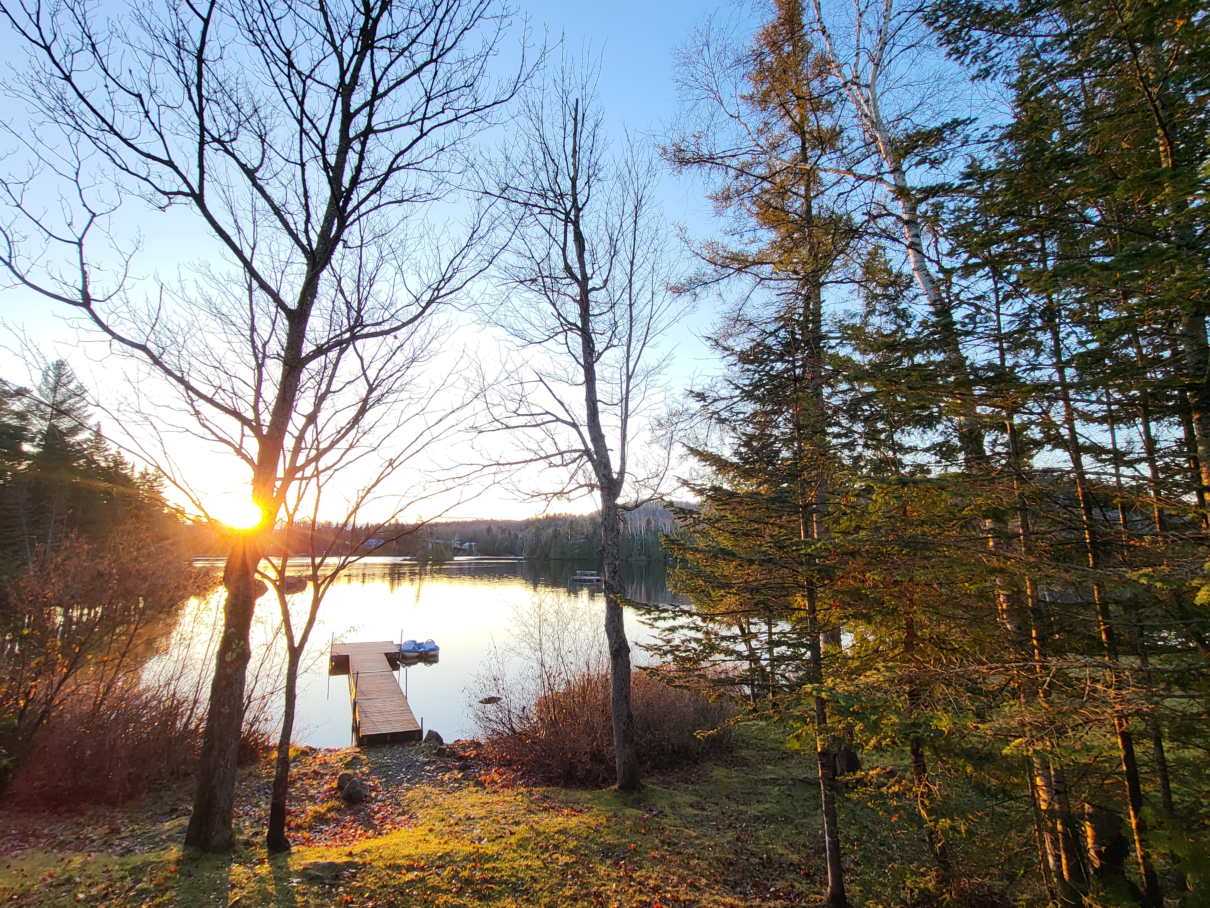 20231104_080008.jpg 20231104_080008.jpg