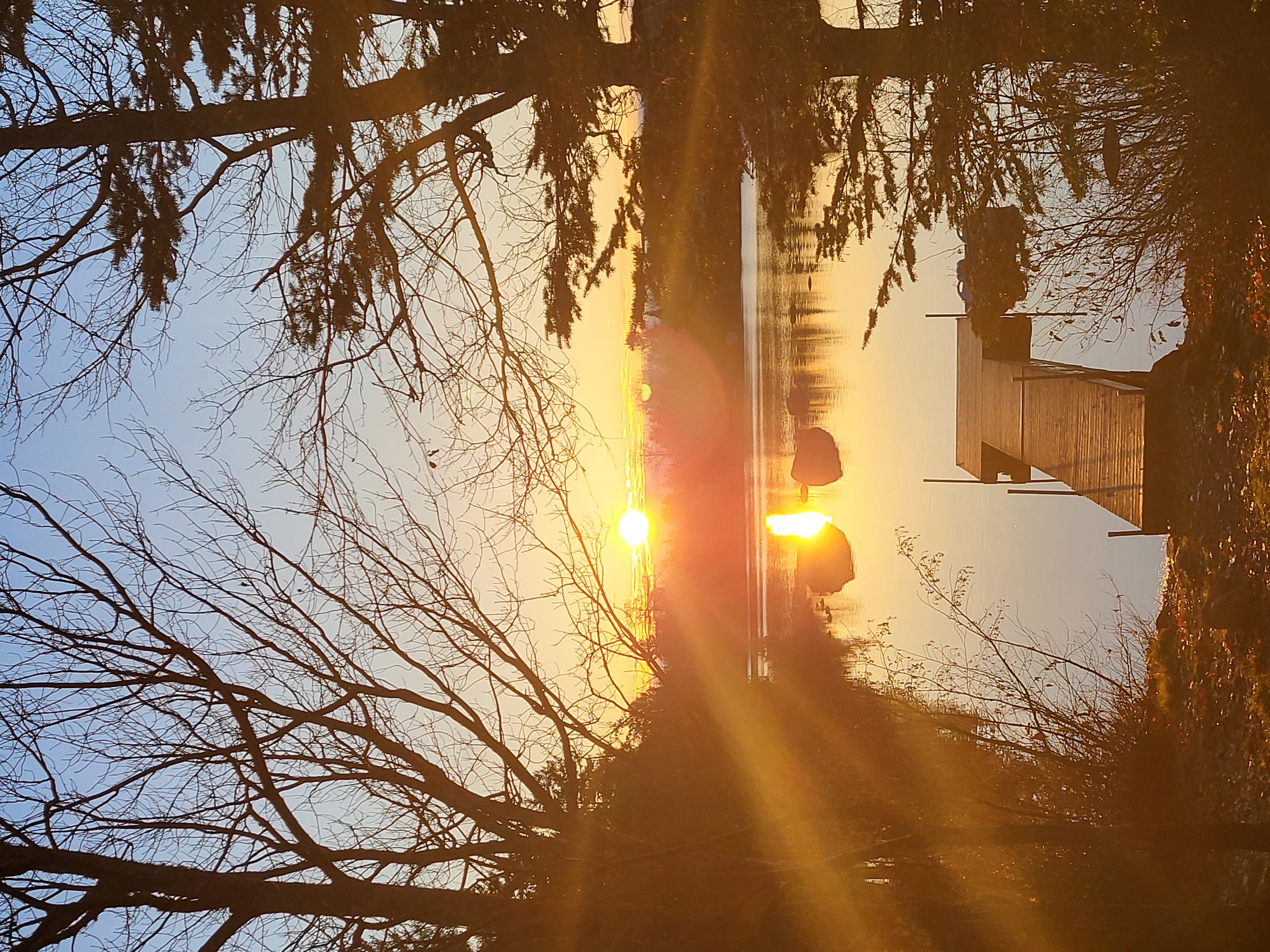 20231104_080021.jpg 20231104_080021.jpg