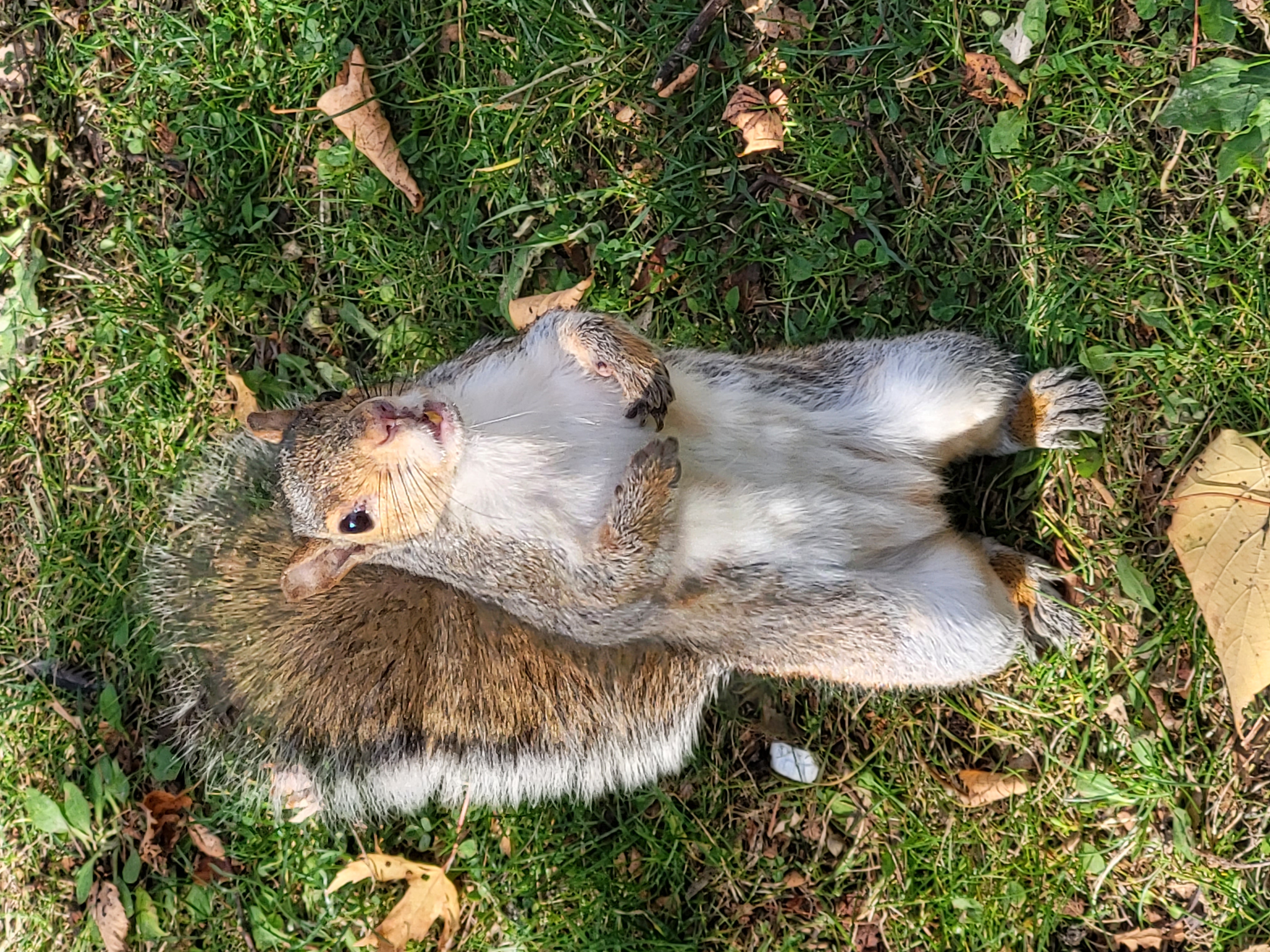 20231104_132457.jpg 20231104_132457.jpg