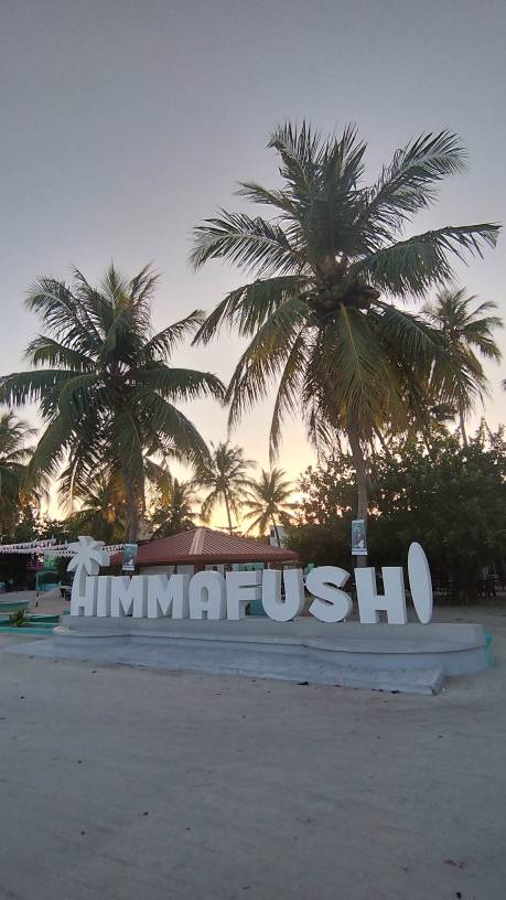 IMG_20240401_062517.jpg IMG_20240401_062517.jpg