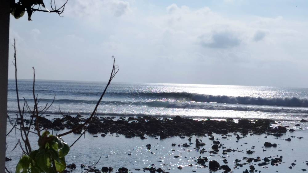 IMG_20240401_074127.jpg IMG_20240401_074127.jpg