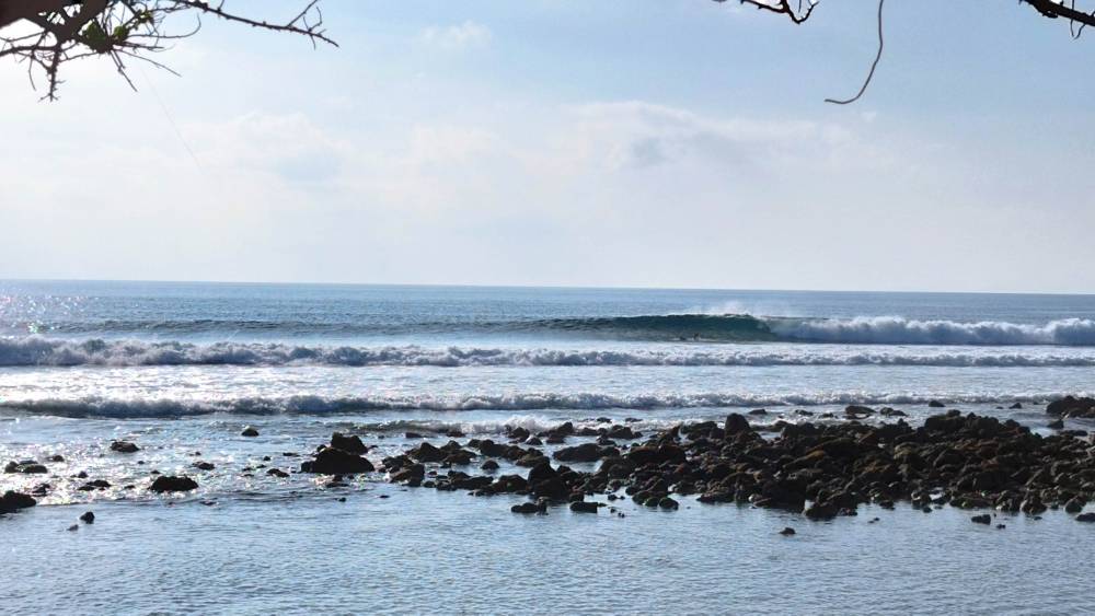 IMG_20240401_074302.jpg IMG_20240401_074302.jpg