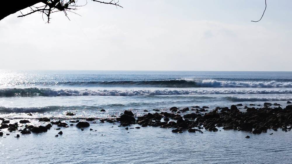 IMG_20240401_074256.jpg IMG_20240401_074256.jpg