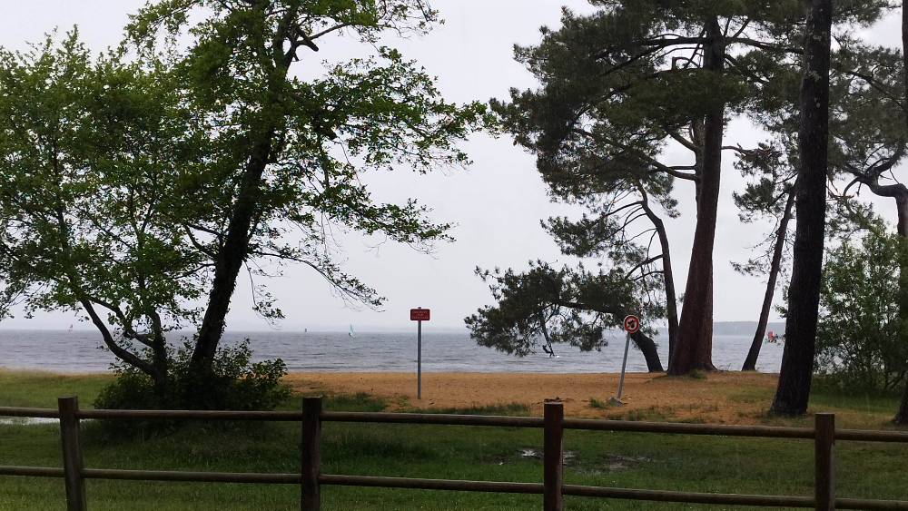 IMG_20240520_143908.jpg IMG_20240520_143908.jpg