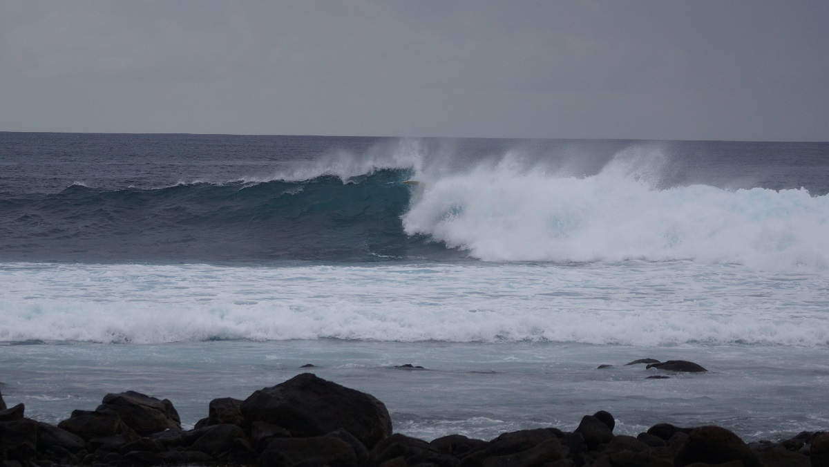 DSC01029.JPG DSC01029.JPG