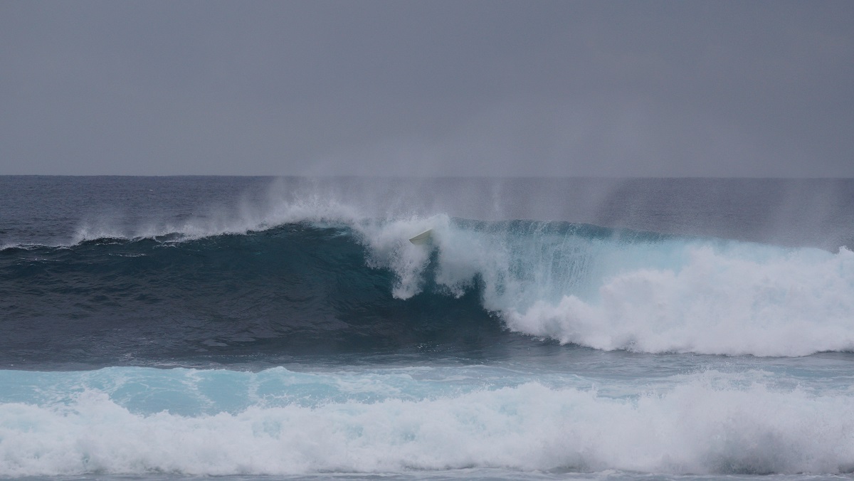 DSC01023.JPG DSC01023.JPG