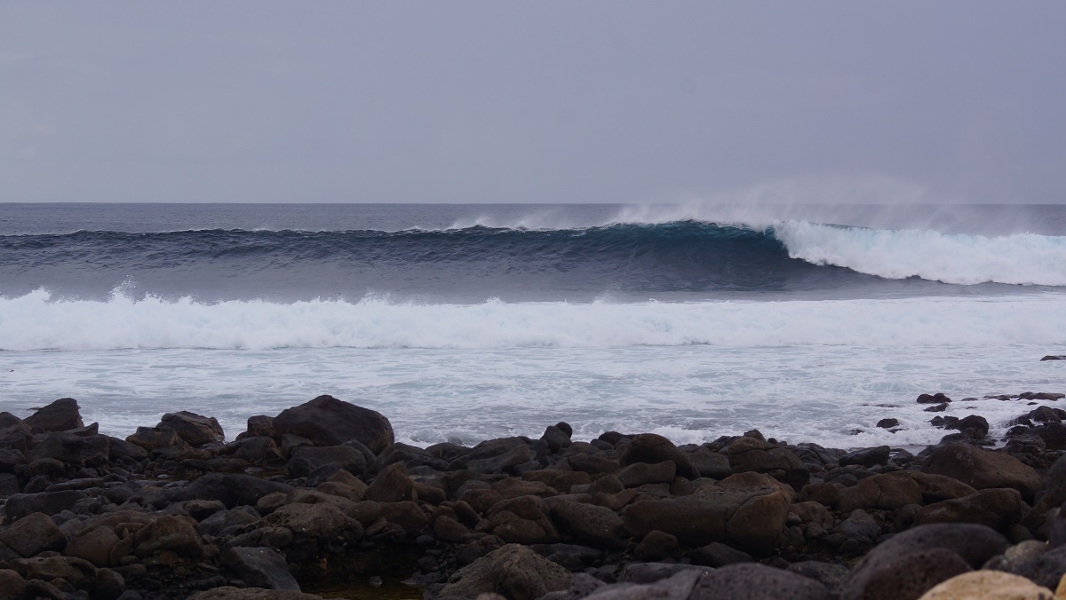 DSC01016.JPG DSC01016.JPG