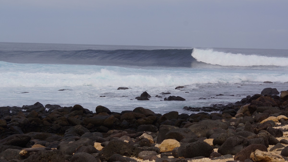 DSC00836.JPG DSC00836.JPG