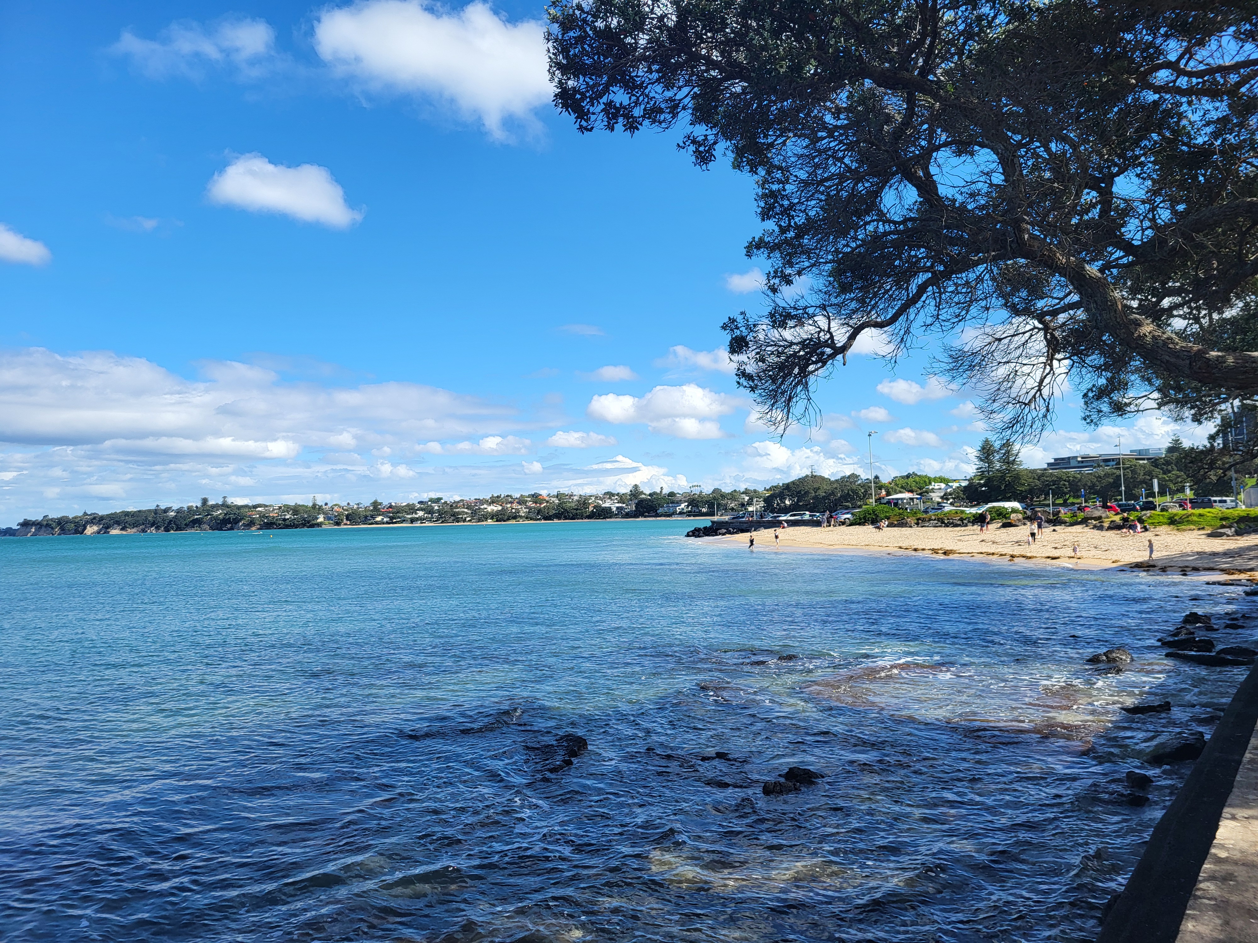 20241027_162148.jpg 20241027_162148.jpg