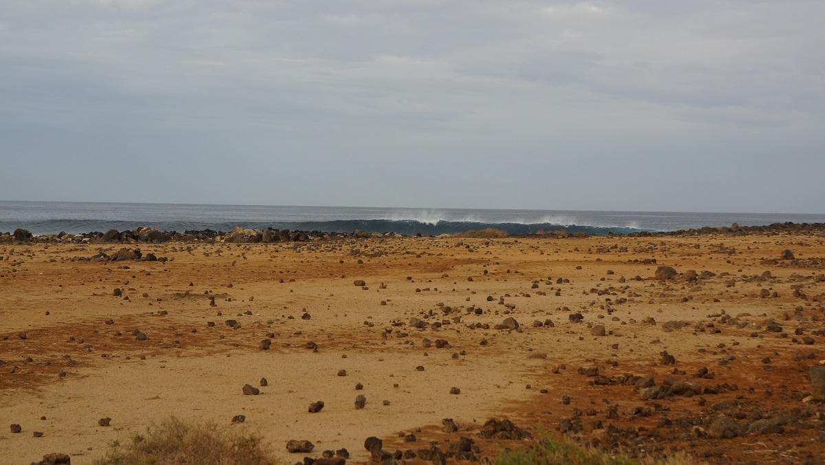 DSC00827.JPG DSC00827.JPG