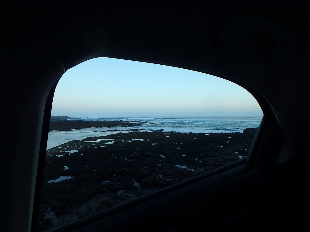 x / day1 2.jpg day1 2.jpg