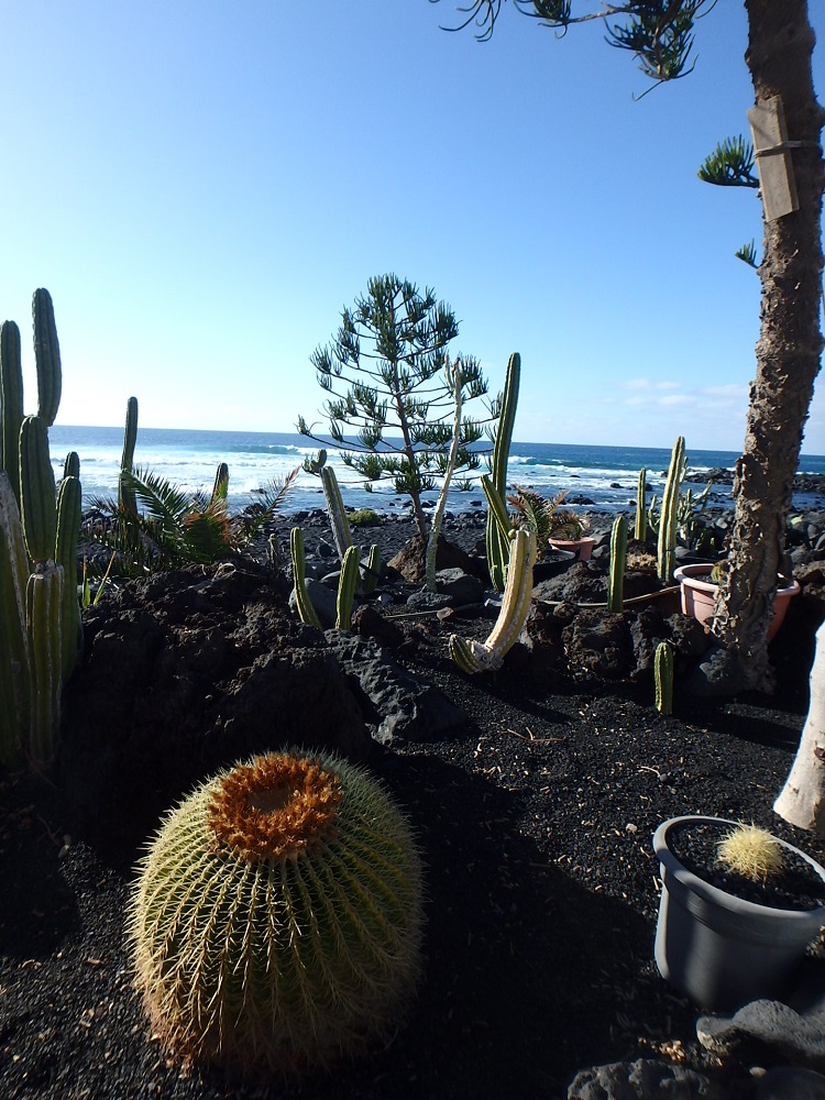 x / golfo 2.jpg golfo 2.jpg