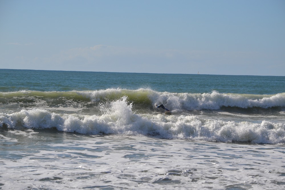 DSC_67531.JPG