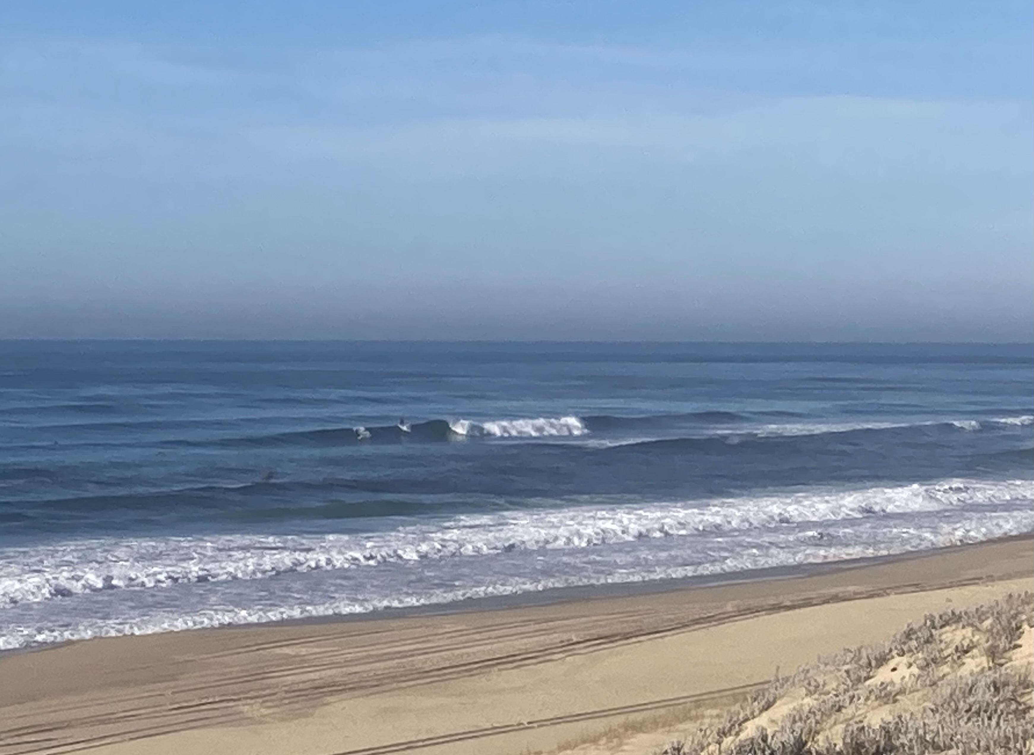 IMG_2169.jpeg IMG_2169.jpeg