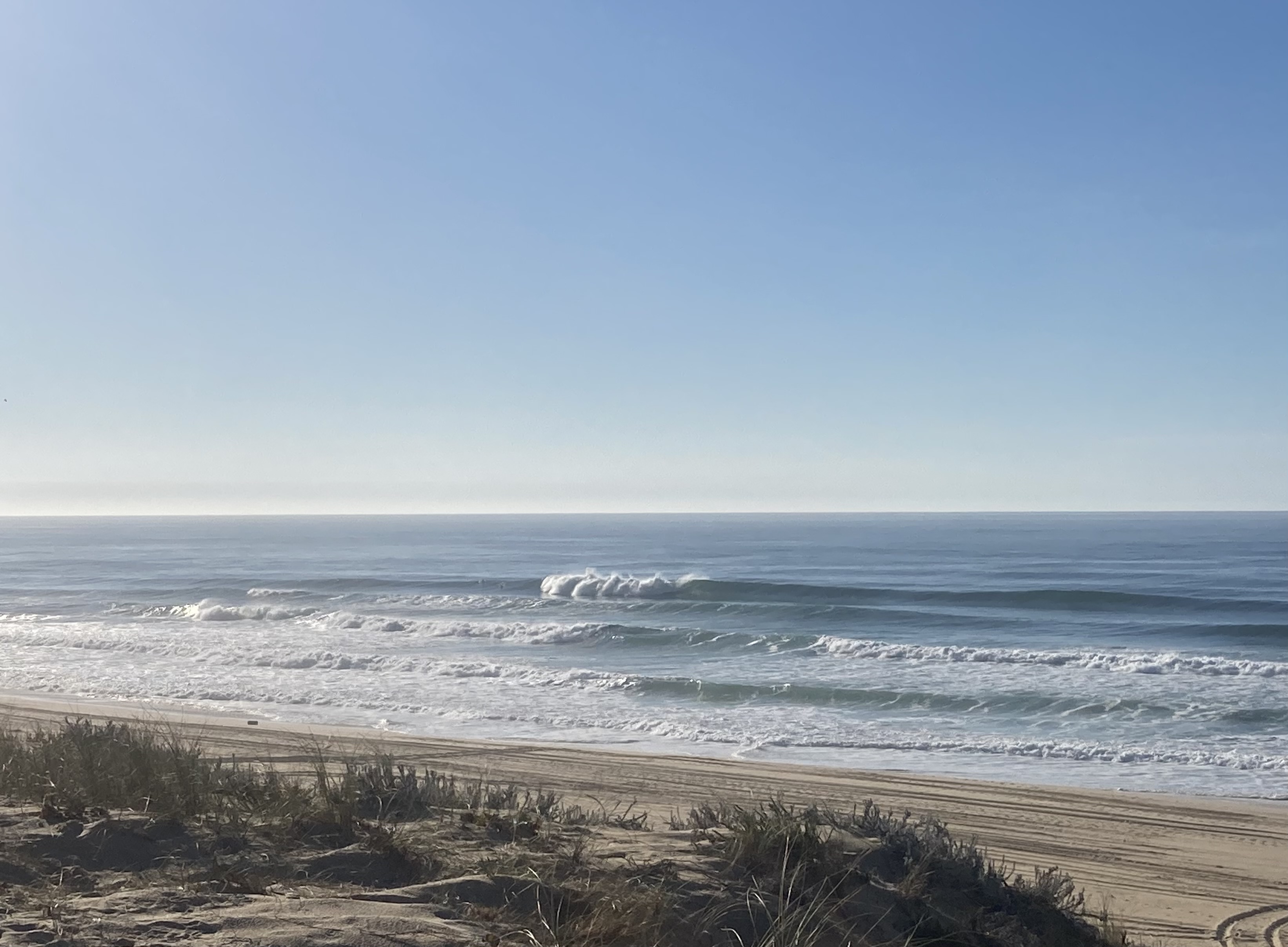 IMG_2167.jpeg IMG_2167.jpeg