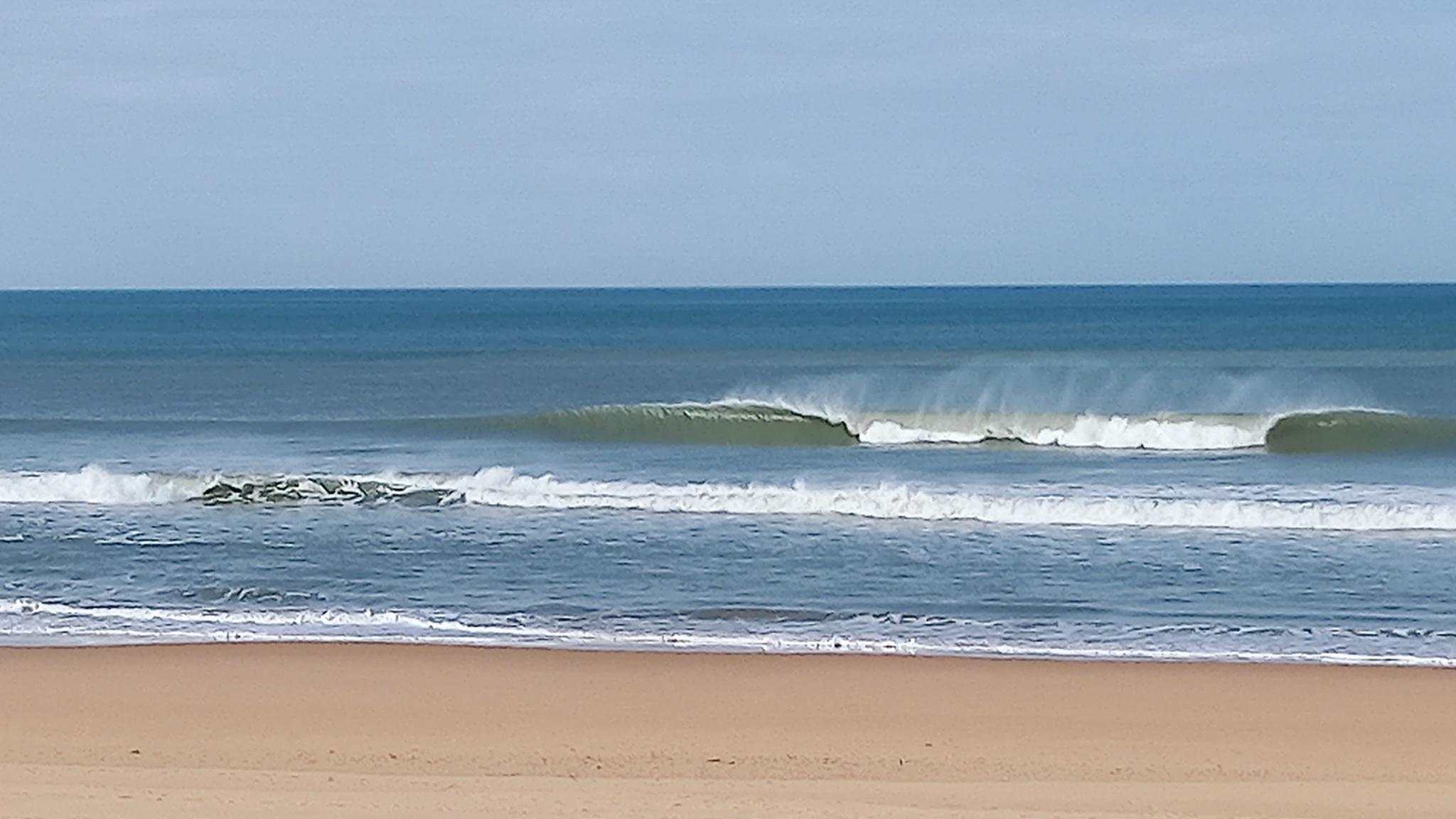 signal-2025-03-06-124151_003.jpeg signal-2025-03-06-124151_003.jpeg