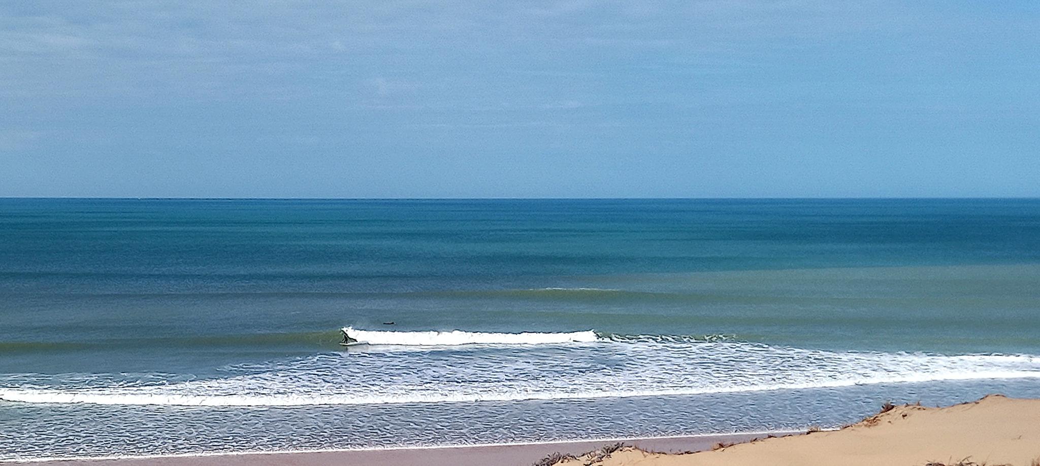 signal-2025-03-06-124151_002.jpeg signal-2025-03-06-124151_002.jpeg