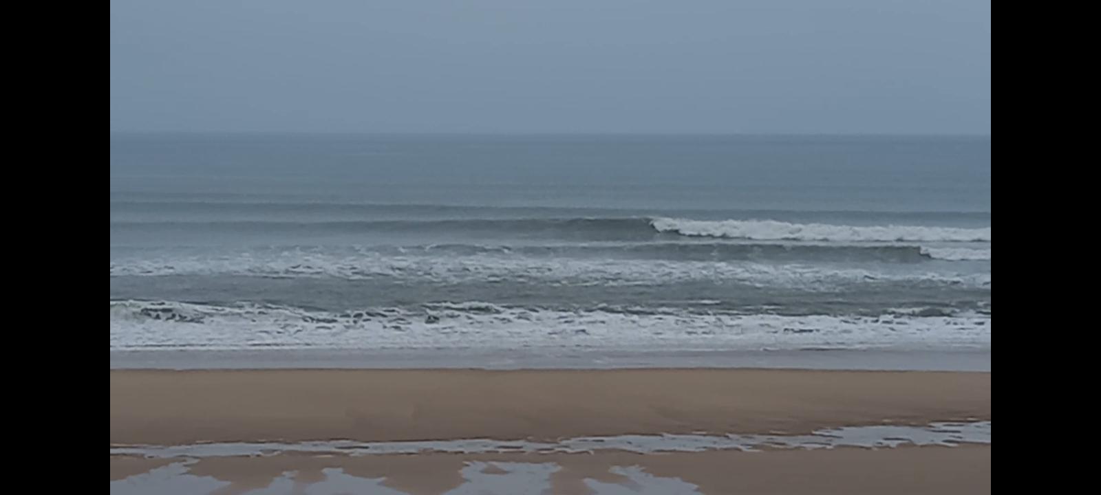 signal-2025-03-06-124151_005.jpeg signal-2025-03-06-124151_005.jpeg