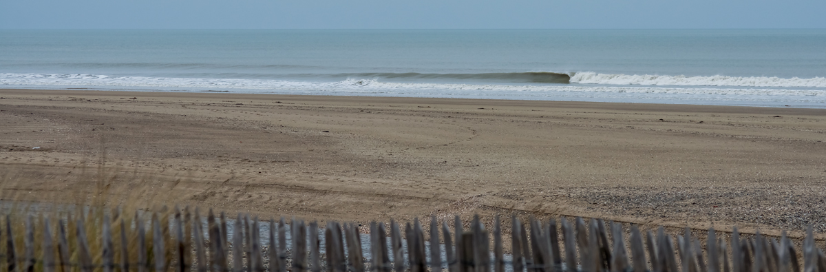 DSC_0003-S.jpg
