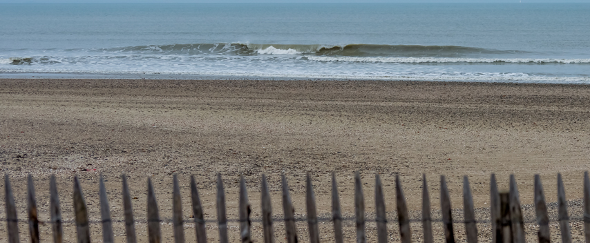 DSC_0010-S.jpg