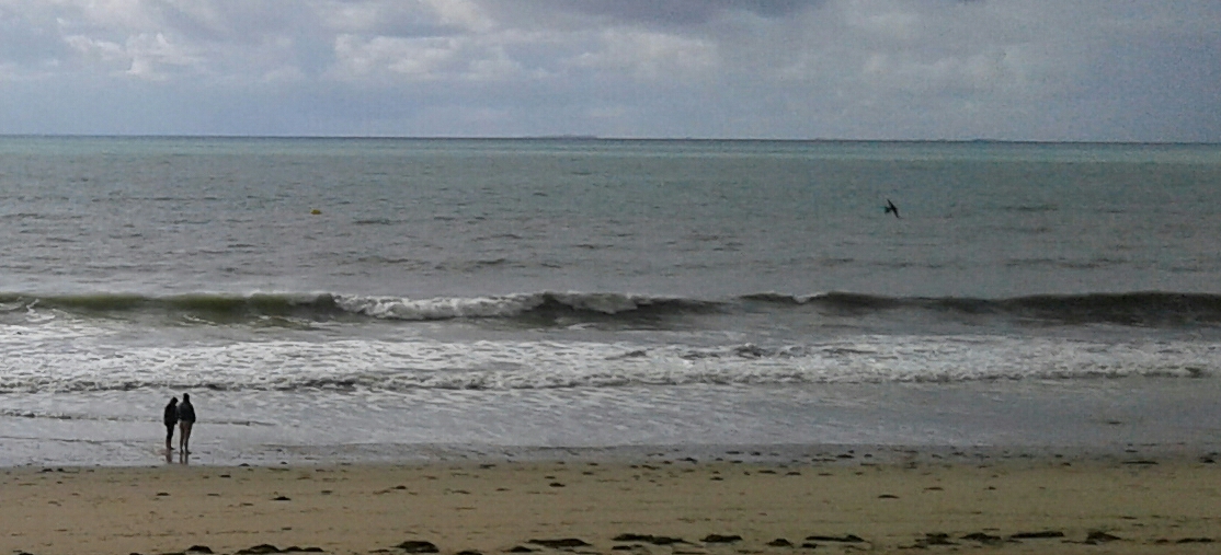 20170915_172728-1-1.jpg